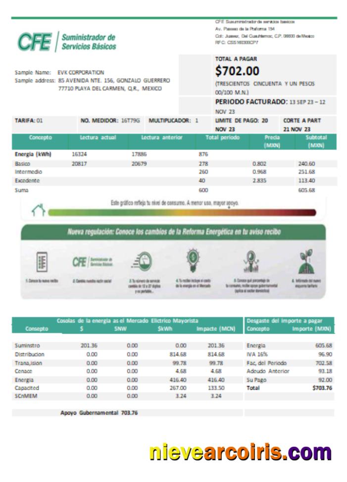 CFE electricity utility business bill